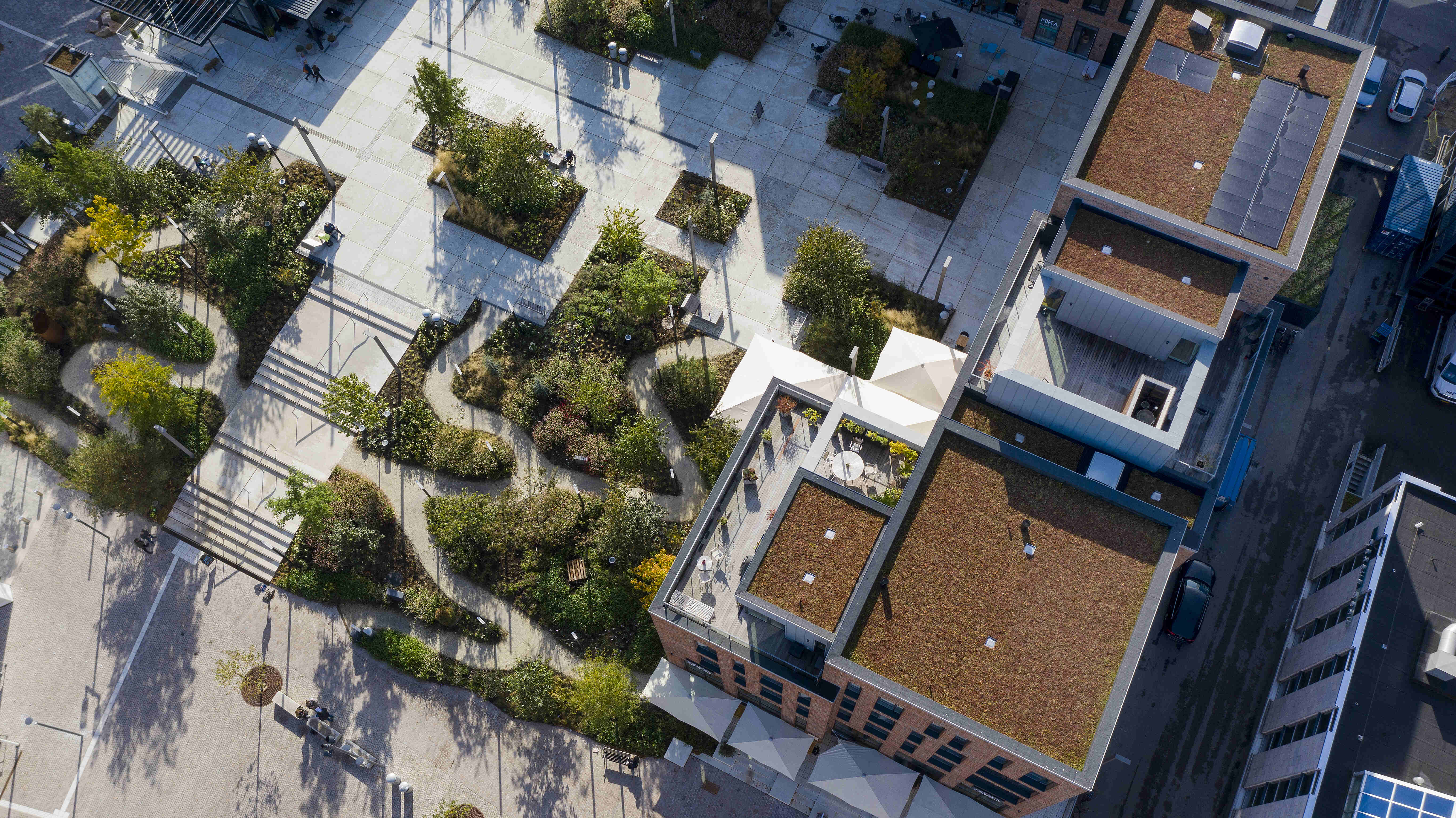 Budolfi 08 ©Jonas Fotografi