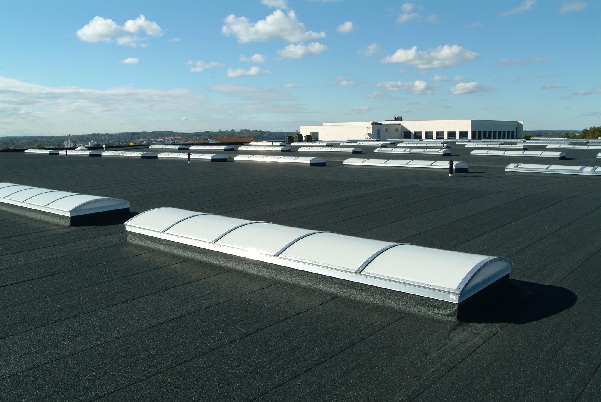 DSCF0006 Hansen Tagpap