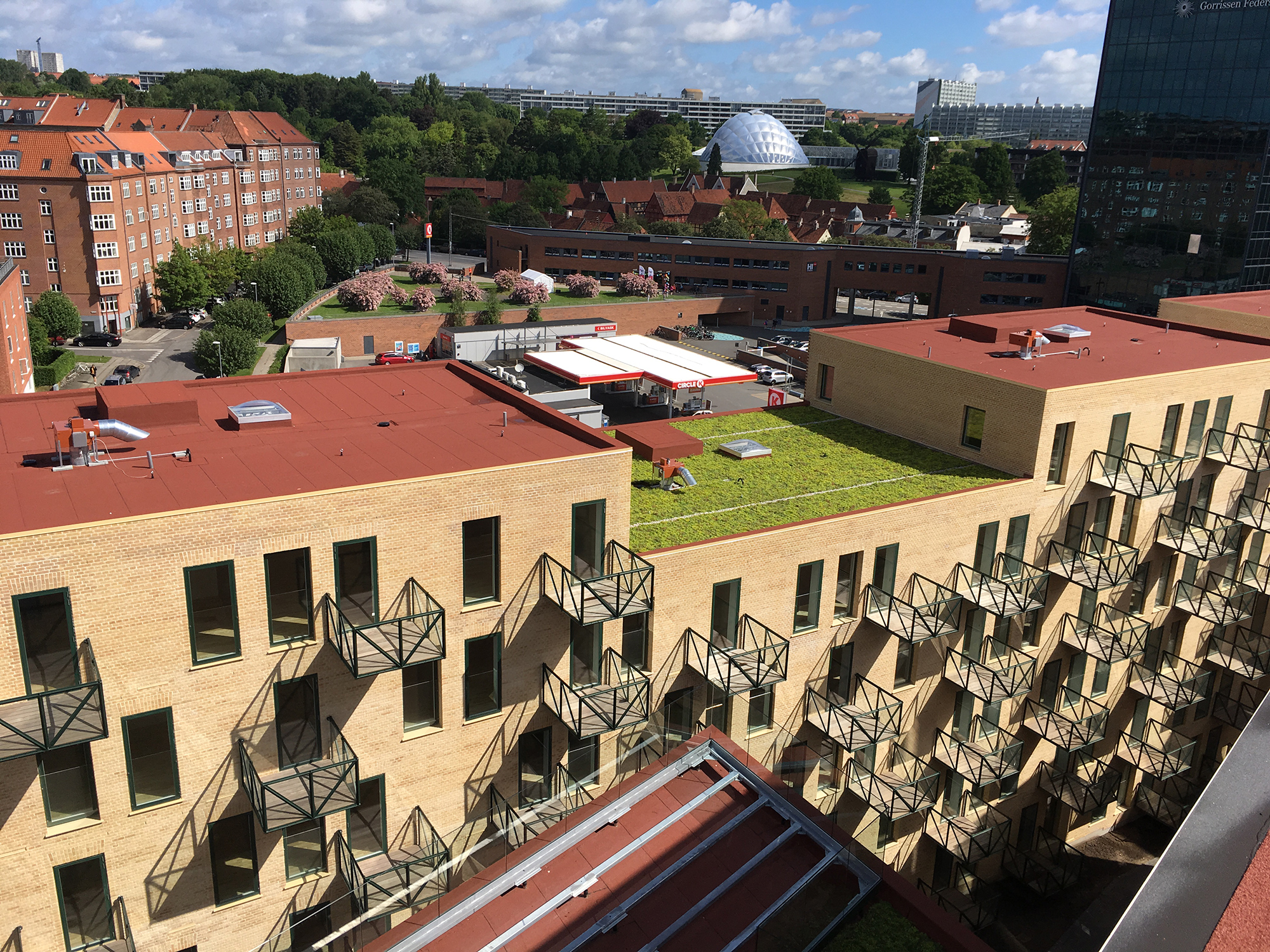 IMG 0450 Rød Tagpap