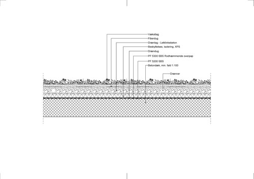 Taghave Med Intensivt Groent Tag 0