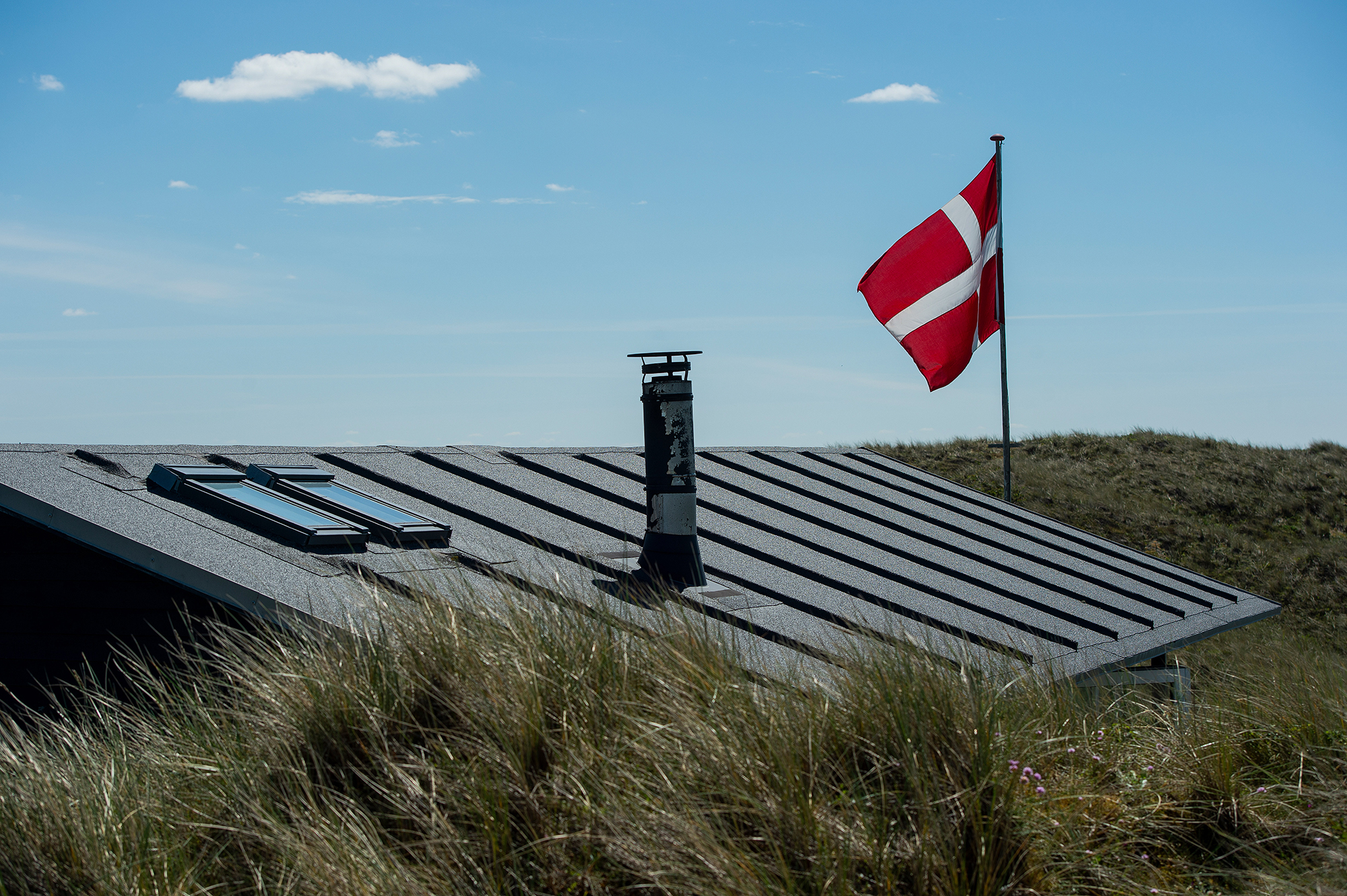 25 År Gammel Listedækning Phønix Tag Materialer 8